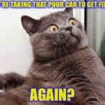 Surprised cat | THEY’RE TAKING THAT POOR CAR TO GET FIXED? AGAIN? | image tagged in surprised cat,memes,funny,bad pun,bad puns | made w/ Imgflip meme maker