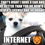 Dogs can drive you crazy... | THAT'S RIGHT I HAVE A CAR AND DRIVE BETTER THAN YOU DO HOW'D I GET A DRIVER'S LICENSE AND INSURANCE?... INTERNET 🐶 | image tagged in chihuahua_driver,memes | made w/ Imgflip meme maker