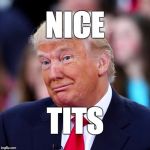 Nice tits. | NICE; TITS | image tagged in trump,tits,donald trump,loser,fraud | made w/ Imgflip meme maker