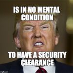 Is in no condition to have a security clearance | IS IN NO MENTAL CONDITION; TO HAVE A SECURITY CLEARANCE | image tagged in donald trump,trump,security | made w/ Imgflip meme maker
