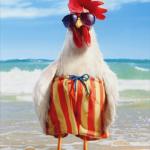 chicken on vacation