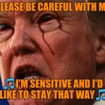 Lame Drumpf | 🎵PLEASE BE CAREFUL WITH ME🎵; 🎵I'M SENSITIVE AND I'D LIKE TO STAY THAT WAY🎵 | image tagged in lame drumpf,snowflake,jewel | made w/ Imgflip meme maker