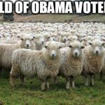 they all voted  obama again a second time | FIELD OF OBAMA VOTERS | image tagged in hillary supporters,obama,field,of,sheep | made w/ Imgflip meme maker