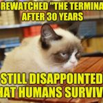 Inspired by superdenni | JUST REWATCHED "THE TERMINATOR" AFTER 30 YEARS; STILL DISAPPOINTED THAT HUMANS SURVIVED | image tagged in memes,grumpy cat table,grumpy cat,the terminator,movies,powermetalhead | made w/ Imgflip meme maker