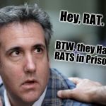 Michael Cohen sings | Hey, RAT. BTW, they Hate RATS in Prison. | image tagged in michael cohen sings | made w/ Imgflip meme maker