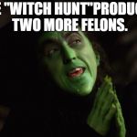 Wicked Witch West | THE "WITCH HUNT"PRODUCES TWO MORE FELONS. | image tagged in wicked witch west | made w/ Imgflip meme maker