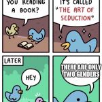 Art of Seduction | THERE ARE ONLY TWO GENDERS | image tagged in art of seduction | made w/ Imgflip meme maker