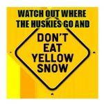 yellow snow | WATCH OUT WHERE THE HUSKIES GO AND | image tagged in yellow snow | made w/ Imgflip meme maker