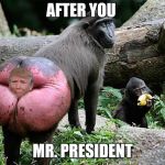 Donald trump baboon rump | AFTER YOU; MR. PRESIDENT | image tagged in donald trump baboon rump | made w/ Imgflip meme maker