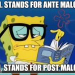 Spongebob | A.M. STANDS FOR ANTE MALONE; P.M. STANDS FOR POST MALONE | image tagged in spongebob,memes,post malone | made w/ Imgflip meme maker