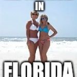 MILFs  | MILF'S AVAILABLE IN; FLORIDA | image tagged in milfs | made w/ Imgflip meme maker
