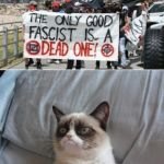 Grumpy cat vs antifa  | GUESS YOU CLOWNS WILL OFF YOURSELVES THEN. | image tagged in grumpy cat vs antifa | made w/ Imgflip meme maker