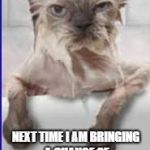 Wet Cat | NEXT TIME I AM BRINGING A CHANGE OF CLOTHES FOR LASER TAG | image tagged in wet cat | made w/ Imgflip meme maker