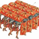 Roman Tortise