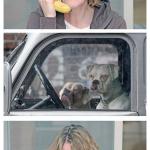 Bad News Banana Phone Dogs