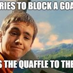 Harry Potter Wood | TRIES TO BLOCK A GOAL; TAKES THE QUAFFLE TO THE FACE | image tagged in harry potter wood | made w/ Imgflip meme maker