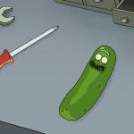 rick and morty pickle rick