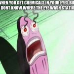 my eyes | WHEN YOU GET CHEMICALS IN YOUR EYES BUT YOU DONT KNOW WHERE THE EYE WASH STATION IS | image tagged in my eyes | made w/ Imgflip meme maker