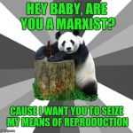Pickup Line Panda picks up college chicks | HEY BABY, ARE YOU A MARXIST? CAUSE I WANT YOU TO SEIZE MY MEANS OF REPRODUCTION | image tagged in memes,pickup line panda | made w/ Imgflip meme maker