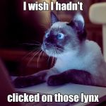 Cat finds the Internet | I wish I hadn't; clicked on those lynx | image tagged in cat on computer,cats,funny cats,bad puns,computers | made w/ Imgflip meme maker