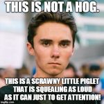 David Hogg | THIS IS NOT A HOG. THIS IS A SCRAWNY LITTLE PIGLET THAT IS SQUEALING AS LOUD AS IT CAN JUST TO GET ATTENTION! | image tagged in david hogg | made w/ Imgflip meme maker