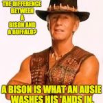 ohio state crocodile Dundee  | THE DIFFERENCE BETWEEN A BISON AND A BUFFALO? A BISON IS WHAT AN AUSIE WASHES HIS 'ANDS IN. | image tagged in ohio state crocodile dundee | made w/ Imgflip meme maker