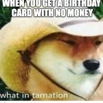 what in tarnation | WHEN YOU GET A BIRTHDAY CARD WITH NO MONEY | image tagged in what in tarnation | made w/ Imgflip meme maker