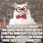 cat scientist | WHAT DO YOU GET WHEN YOU CROSS AN OCTOPUS WITH A COW?
AN IMMEDIATE CESSATION OF FUNDING AND A STERN REBUKE FROM THE ETHICS COMMITTEE! | image tagged in cat scientist | made w/ Imgflip meme maker