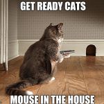 mouse killer | GET READY CATS; MOUSE IN THE HOUSE | image tagged in mouse killer | made w/ Imgflip meme maker