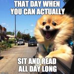 happy dog | THAT DAY WHEN YOU CAN ACTUALLY; SIT AND READ ALL DAY LONG | image tagged in happy dog | made w/ Imgflip meme maker