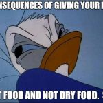 Angry Donald | CONSEQUENCES OF GIVING YOUR DOG; WET FOOD AND NOT DRY FOOD.  SBD | image tagged in angry donald | made w/ Imgflip meme maker