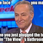 Maybe that will change their attitude | The face                           you make; When you just plugged the toilet in "The View" 's bathroom | image tagged in chuck schumer abc news this week,the view,smells,schumer,bomb | made w/ Imgflip meme maker