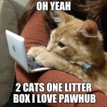 pawhub user | OH YEAH; 2 CATS ONE LITTER BOX I LOVE PAWHUB | image tagged in pawhub user | made w/ Imgflip meme maker