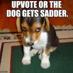 Do it for the dog. | UPVOTE OR THE DOG GETS SADDER. | image tagged in sad puppy,memes,upvote,animals,dogs,sad | made w/ Imgflip meme maker