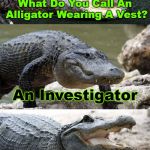 Gator the investigator  | What Do You Call An Alligator Wearing A Vest? An Investigator | image tagged in bad pun alligator,memes,alligator,jokes | made w/ Imgflip meme maker