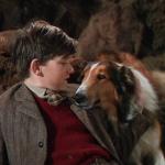 Lassie saves the day meme
