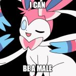 cute sylveon | I CAN; BE A MALE | image tagged in cute sylveon | made w/ Imgflip meme maker
