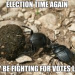 The next election  | ELECTION TIME AGAIN; THEY BE FIGHTING FOR VOTES LIKE .. | image tagged in the next election | made w/ Imgflip meme maker