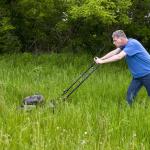 mowing tall grass