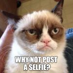 Fail Week - from August 27th to September 3rd (a Landon_the_memer event). | YOU CAN'T THINK OF ANYTHING TO POST FOR FAIL WEEK? WHY NOT POST A SELFIE? | image tagged in bad pun grumpy cat,memes,fail week,selfie,grumpy cat insults,landon_the_memer | made w/ Imgflip meme maker
