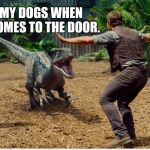 Me with my dogs when someone comes to the door | ME WITH MY DOGS WHEN SOMEONE COMES TO THE DOOR. @EBLANAHALLS | image tagged in me with my dogs when someone comes to the door | made w/ Imgflip meme maker