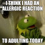 kermit monday | I THINK I HAD AN ALLERGIC REACTION; TO ADULTING TODAY | image tagged in kermit monday | made w/ Imgflip meme maker