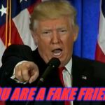 Trumps Friends | YOU ARE A FAKE FRIEND | image tagged in donald trump,friends,the donald,trump | made w/ Imgflip meme maker