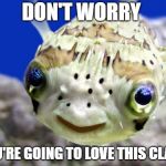 Happy Fish | DON'T WORRY; YOU'RE GOING TO LOVE THIS CLASS | image tagged in happy fish | made w/ Imgflip meme maker