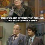 WKRP Turkeys Away | THOSE AREN'T SKY DIVERS, THEY'RE TURKEYS; TURKEYS ARE HITTING THE GROUND LIKE BAGS OF WET CEMENT; FOR THE LOVE OF GOD I THOUGHT TURKEYS COULD FLY | image tagged in wkrp turkeys away | made w/ Imgflip meme maker