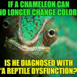 Just asking for a friend... | IF A CHAMELEON CAN NO LONGER CHANGE COLORS; IS HE DIAGNOSED WITH “A REPTILE DYSFUNCTION?” | image tagged in funny,memes,reptile,dysfunctional | made w/ Imgflip meme maker