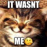 smiling kitty | IT WASNT; ME🤥 | image tagged in smiling kitty | made w/ Imgflip meme maker