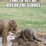 Monday Elephant | TIME TO GET UP OUT OF THE SLUDGE; NUTRALIZERX.COM | image tagged in monday elephant,sludge,dirty,mess,tired,boat | made w/ Imgflip meme maker