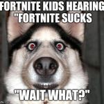 dogs face when he has to fart | FORTNITE KIDS HEARING "FORTNITE SUCKS; "WAIT WHAT?" | image tagged in dogs face when he has to fart | made w/ Imgflip meme maker