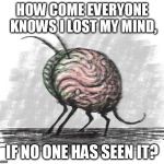 lost mind | HOW COME EVERYONE KNOWS I LOST MY MIND, IF NO ONE HAS SEEN IT? | image tagged in lost mind | made w/ Imgflip meme maker